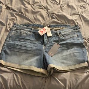 Torrid Shorts